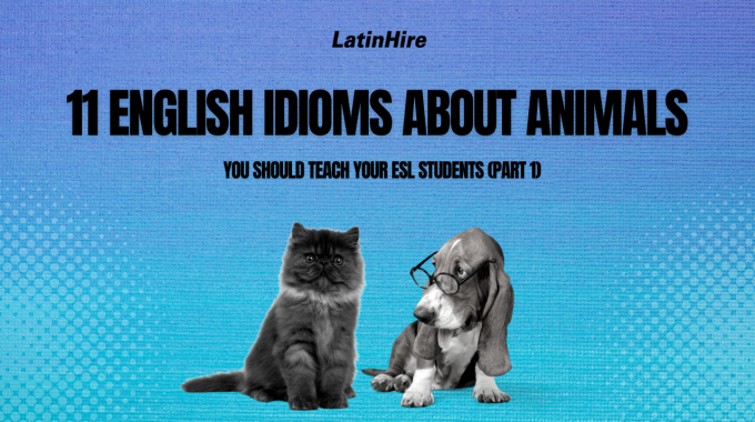 Animal Idioms about CATS and Their Meanings in English